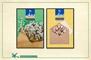  چاپ آثار اعضای بخش مکاتبه‌ای کانون سمنان